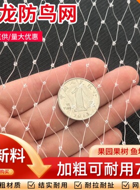 农用防鸟网樱桃葡萄农用家用天网果树防鸟网防鸟围栏户外大棚防鸟