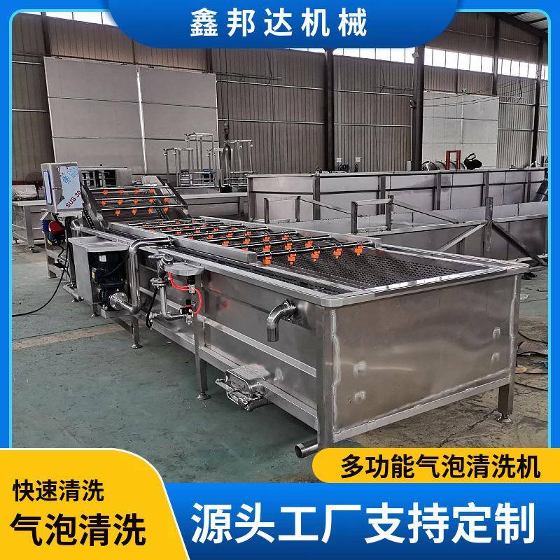 水果蔬菜翻转冲浪清洗机干果中药材气泡清洗机厨房净菜加工设备
