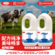 低温风味酸牛奶水果捞桶装 三元 原味酸奶1Kg桶装 酸奶碗纯净配方