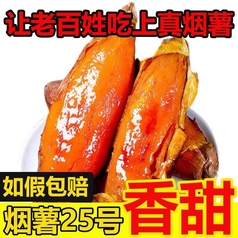 山东蜜薯烟薯25号农科院糖心地