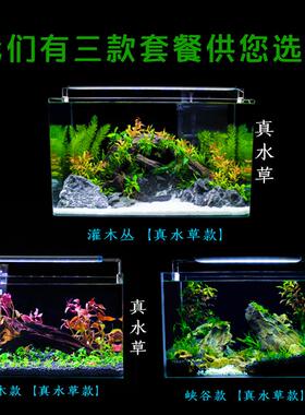 真水草鱼缸水族箱小型客厅办公室桌面家用生态草缸装饰布造景全套