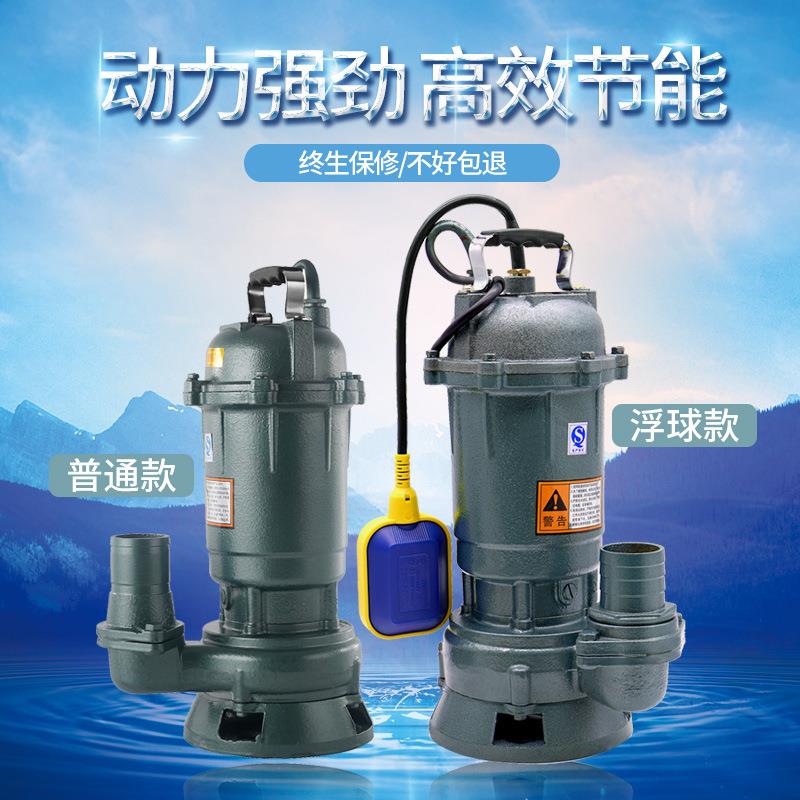 排污泵污水泵水泵家高扬程抽水泵农用灌溉家用污水提升泵抽水