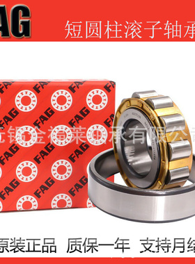 德国FAG轴承 短圆柱滚子轴承N NJ NU NF NUP RNA 205E.XL.M1
