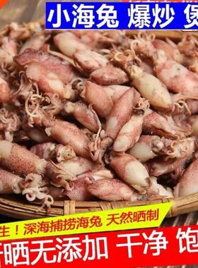 海兔干大号海兔子2斤带籽满籽鱿鱼新鲜水产淡晒笔管鱼野生墨鱼仔