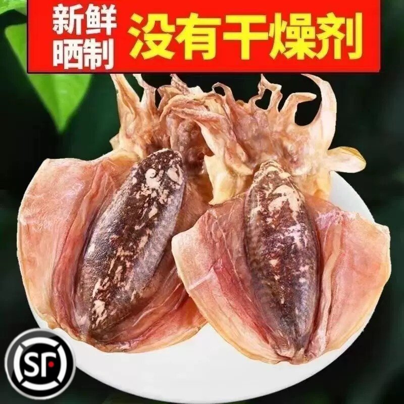 墨鱼干干货墨鱼肉生晒碎片干墨鱼头翅乌贼干海鲜干货水产新晒500g