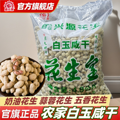 盛兴源白玉咸干花生9.8斤袋装龙岩花生带壳蒜蓉花生大包原味花生