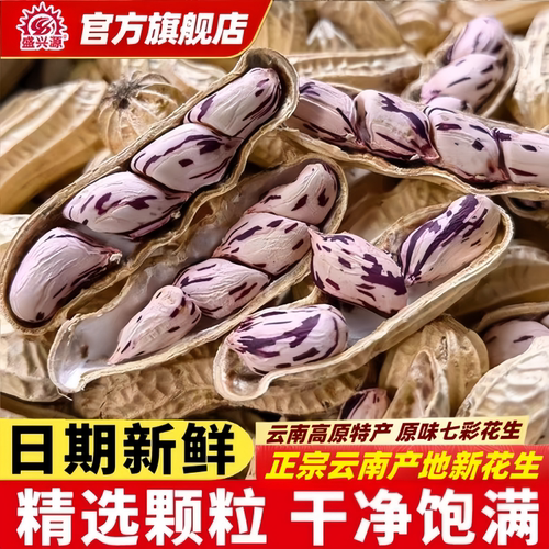 新货云南七彩花生香脆咸干带壳