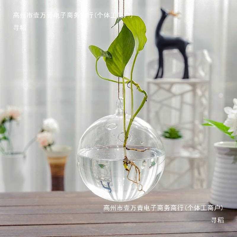 创意绿萝水培器皿花卉水养玻璃花瓶透明小吊瓶悬挂植物插花装饰品