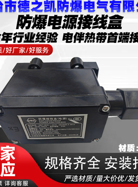 ZDJH-40D/3电伴热带首端防爆电源接线盒220V/380V