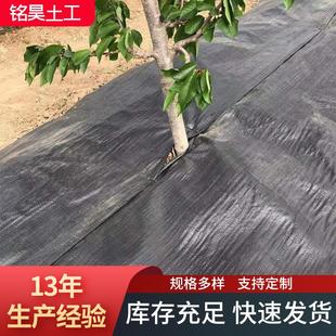 现货防草布农用果园果树园艺杂草克星布透水透气抗老化除草布