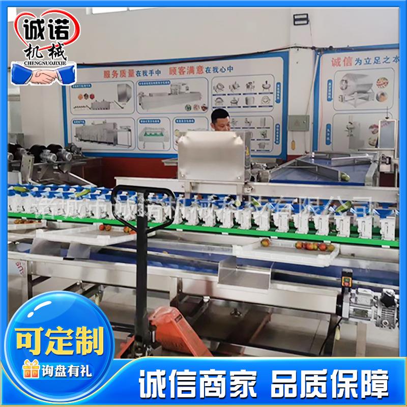 海参鲅盘家鱼商用转式分果选机 蔬大小分级机 禽重转盘式分量分选