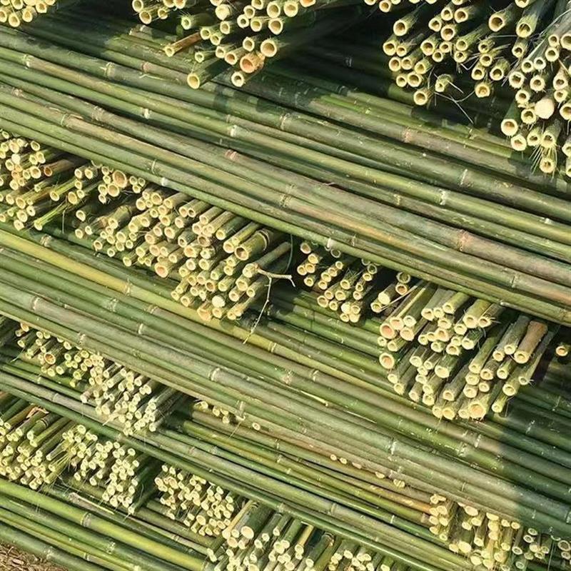精选竹子架杆竹竿蔬菜豆角黄瓜爬藤架花架子支撑杆插杆打架竿防腐