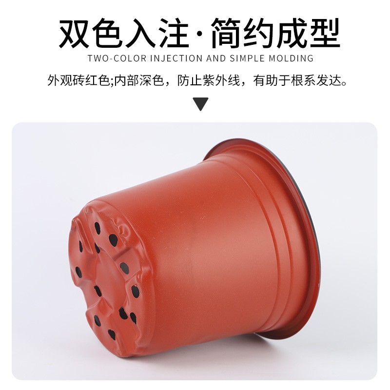 双色盆简易加厚一次性塑料花盆育苗盆大号营养钵培育盆多肉种植盆