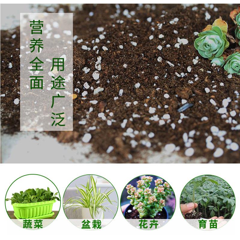 椰砖营养土种菜通用型脱盐椰糠养花土壤椰壳大块栽培基质泥土耶砖
