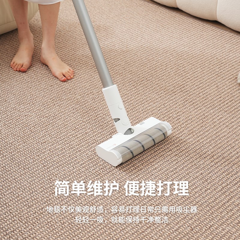 地毯客厅2024新款仿亚麻剑麻家用满铺卧室床边飘窗耐脏猫抓板地垫