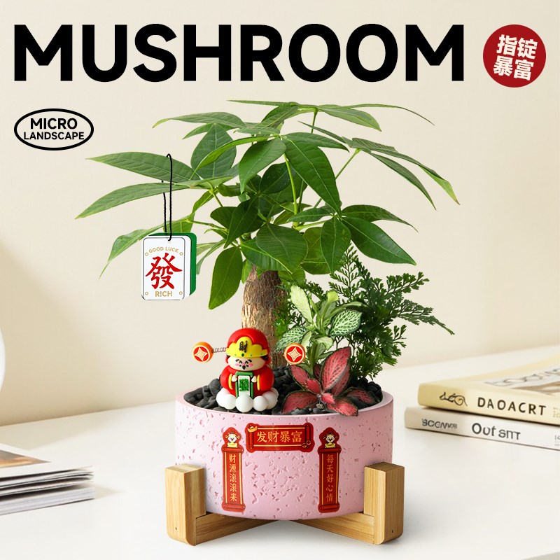 发财树客厅盆栽桌面办公室工位女生创意摆件趣味微景盆景招财植物