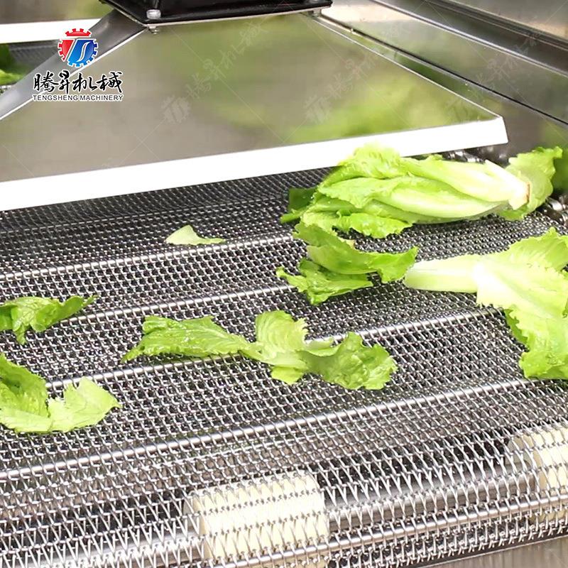 全自动转连干续式风784干机 翻式强流风机辣商椒圈萝卜用