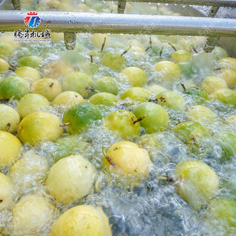 清洗风干分选生产洗线 瓜果类百香果果加工 水清风898干 瓜 果清