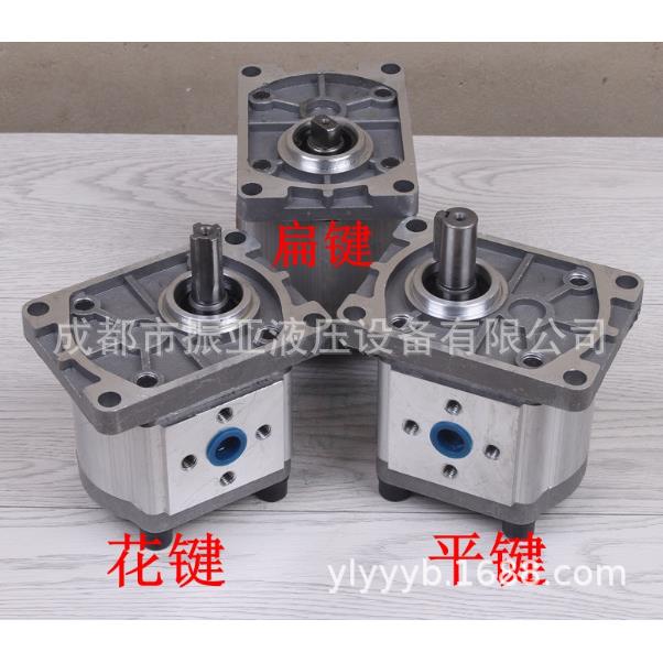 CB651N(-E306齿轮，c泵b3n-eF)06齿轮油泵，液压润滑泵