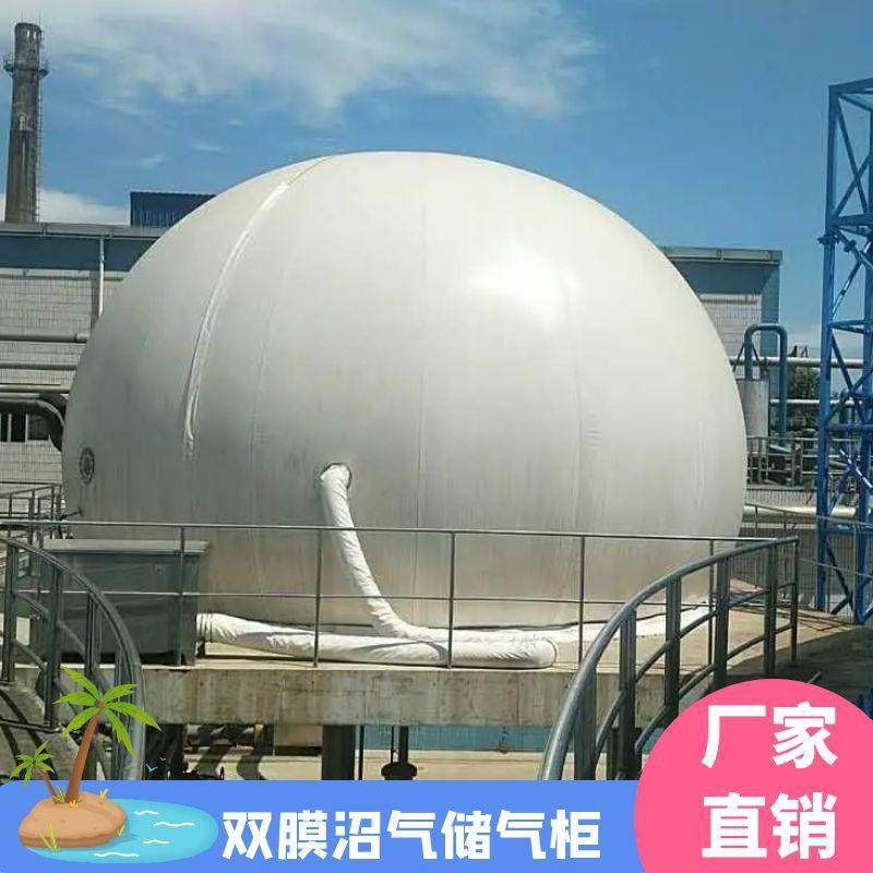 沼气双膜气柜储气柜干式气柜安装简单免费图纸