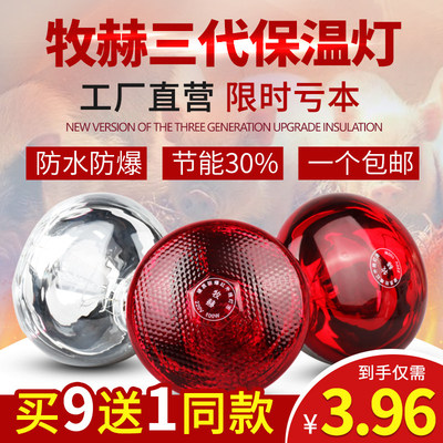 德国猪用保温灯保温灯泡畜牧取暖灯宠物养殖保暖灯母猪产床保温箱