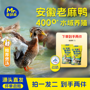 【买一赠一】蛋鲜森安徽老麻鸭到手两只煲汤鲜香现杀速冻新鲜包邮