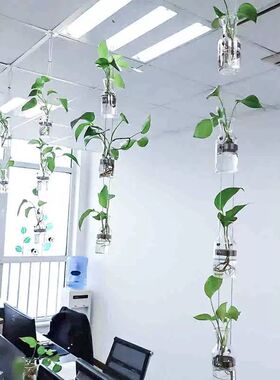 创意轻奢玻璃水培花瓶绿植隔断家居幼儿园植物风铃墙上装饰品挂件