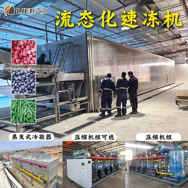 大型流态化速冻机隧道式果蔬颗粒西蓝花单冻设备流态化速冻设备