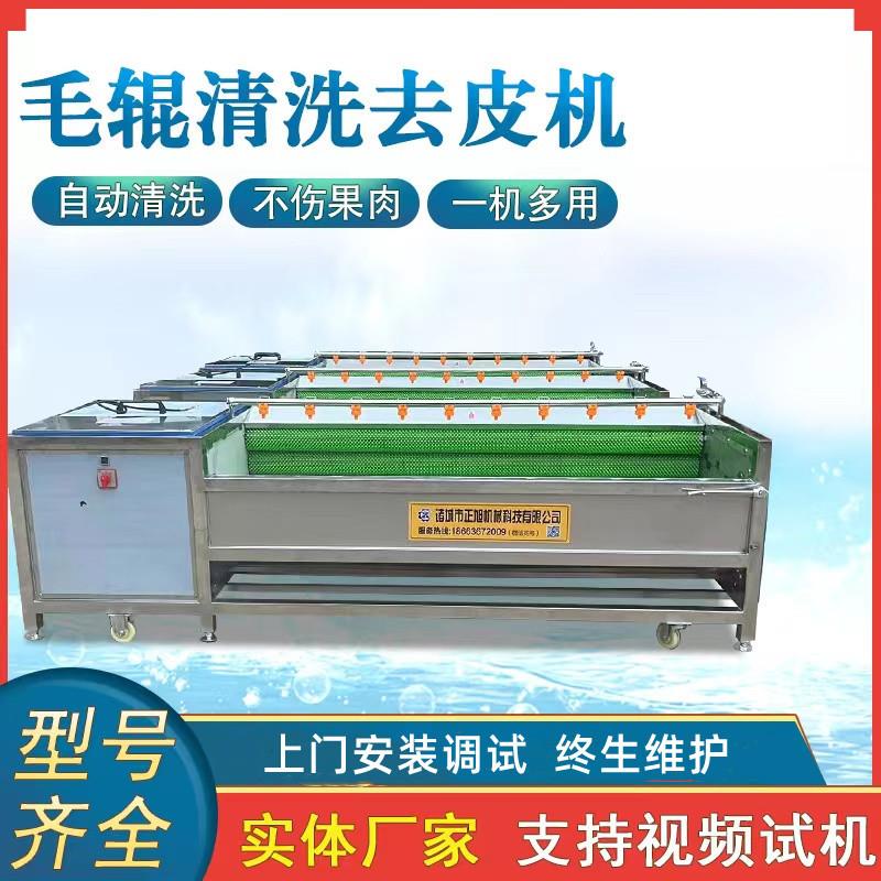 现货土豆去皮机脱皮机9根木薯洋葱去皮机毛刷毛辊清洗机