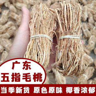 五指毛桃毛细扎把根中药材广东煲汤材料新鲜干货五爪龙天然椰香