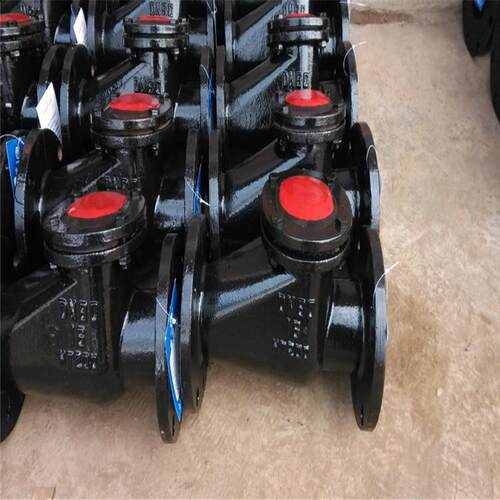 H44T-10DN50新乡灰铸铁法兰止回阀旋起式铜芯止回阀H44W-10