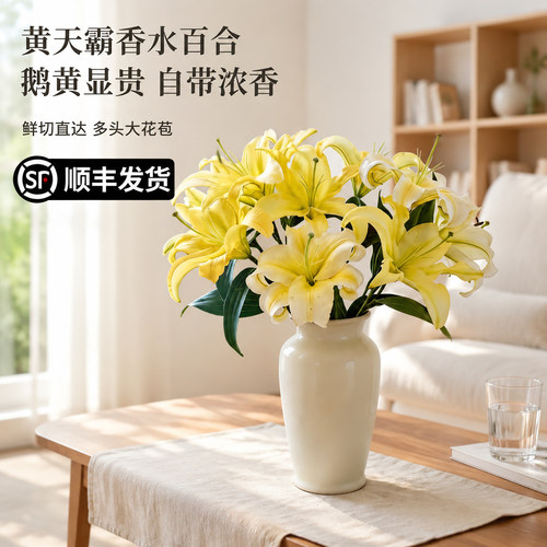 香水百合花鲜花家用水养鲜切花