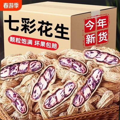 七彩花生新鲜云南特产带壳生的晒干2025年新货官方旗舰店花生种子