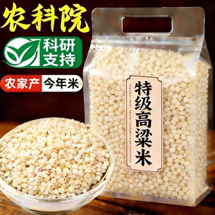 25年新高粱米官方旗舰店东北新米糖尿人控糖红糯高梁米真空包装