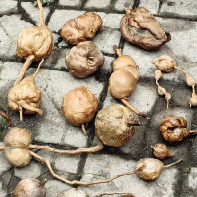 北沉香琥珀木创意摆件创新琥珀木东阳木雕室内空气净化摆件