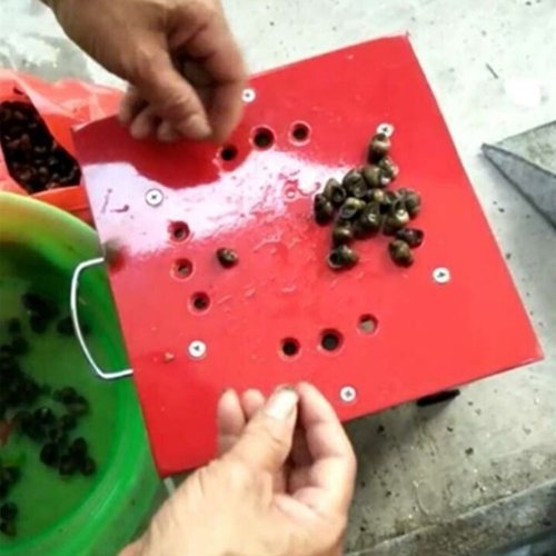 新款九龙牌半自动剪螺机 螺蛳去尾机 剪螺机 田螺机 剪螺丝机