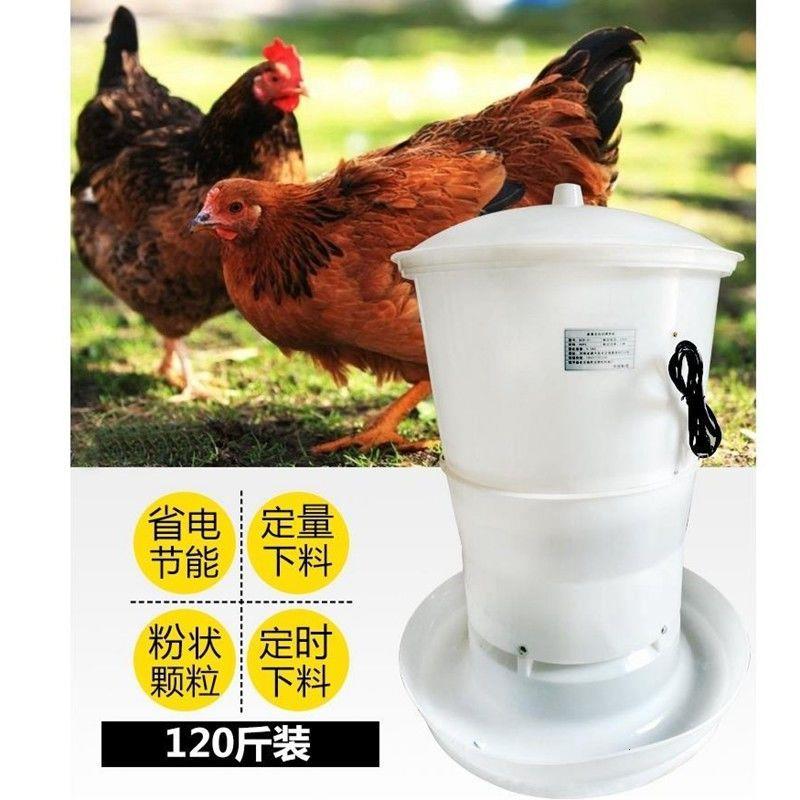 60公斤鸡饲料桶自动喂鸡