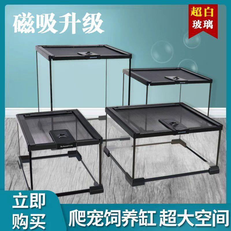 玻璃爬缸蜥蜴蛇甲虫乌龟