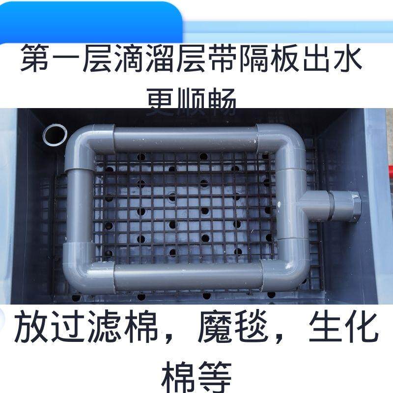 养龟周转箱塑料箱乌龟金