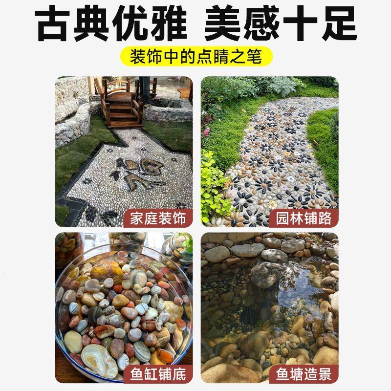 五彩鹅卵石天然铺地彩色