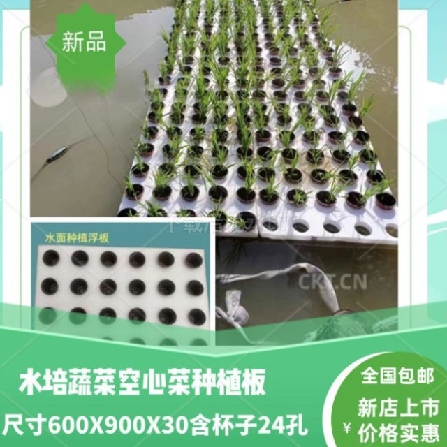 水稻蔬菜板水培漂浮鱼塘托盘水培漂浮板种植槽全套养殖水上浮板