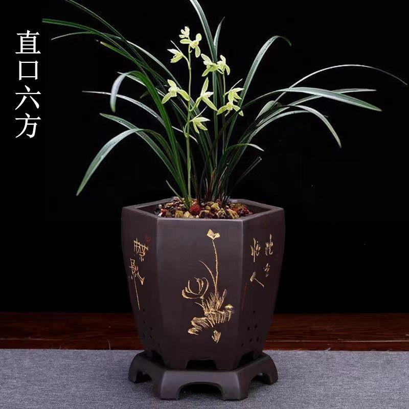 宜兴紫砂花盆兰花君子兰透气陶瓷盆六方手工客厅蝴蝶兰