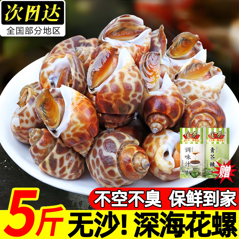 鲜活鲜冻特大花螺东风螺