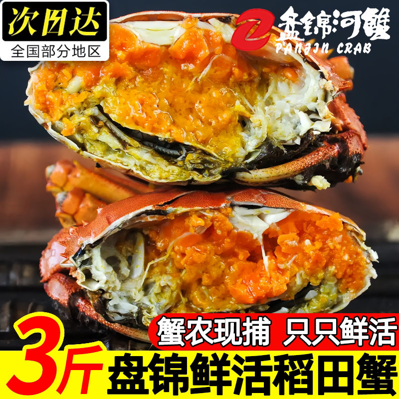 盘锦鲜活大闸蟹礼盒顺丰包邮