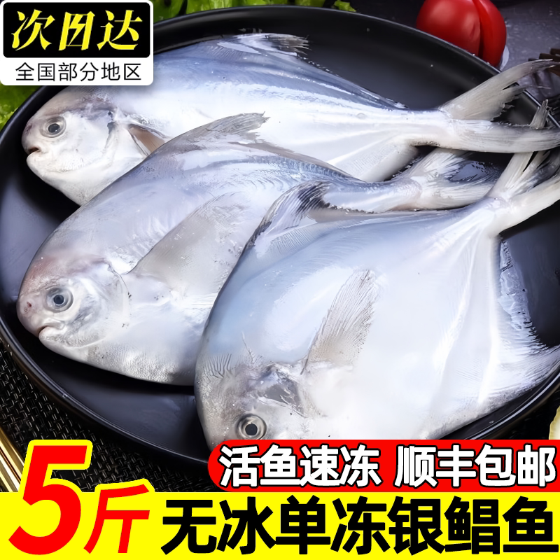 青岛银鲳鱼新鲜冷冻顺丰批发
