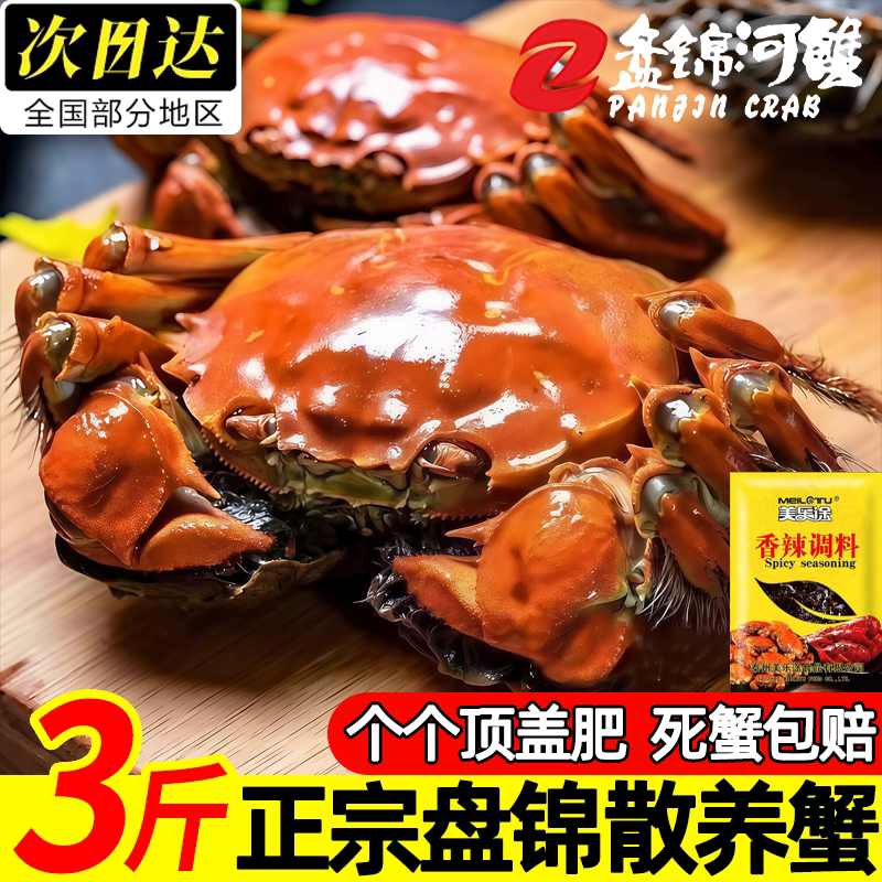 正宗盘锦散养活河蟹现捕现发
