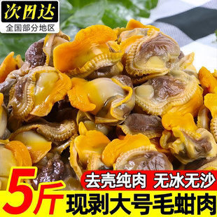 新鲜毛蛤肉速冻血蛤肉毛蚶肉无沙毛蚬子肉雪蛤肉海蛤蜊肉毛蛤蜊肉