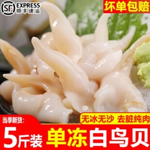 白鸟贝肉新鲜冷冻特大号去内脏无沙非长岛黄鸟贝批发海鲜捞汁顺丰