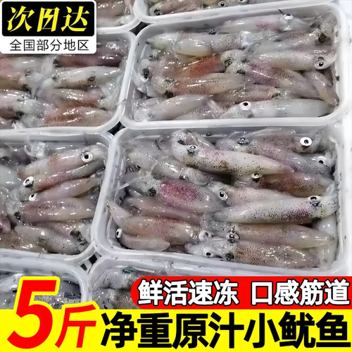山东青岛冷冻白灼小管鱿鱼