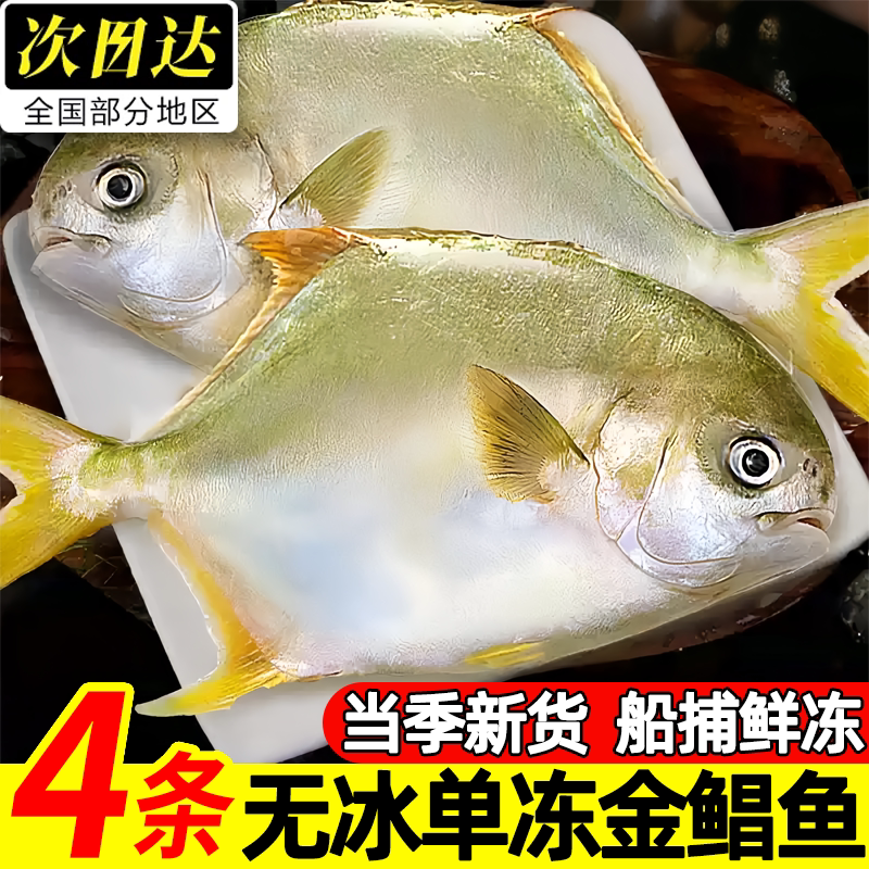 新鲜冷冻特大金鲳鱼海鱼